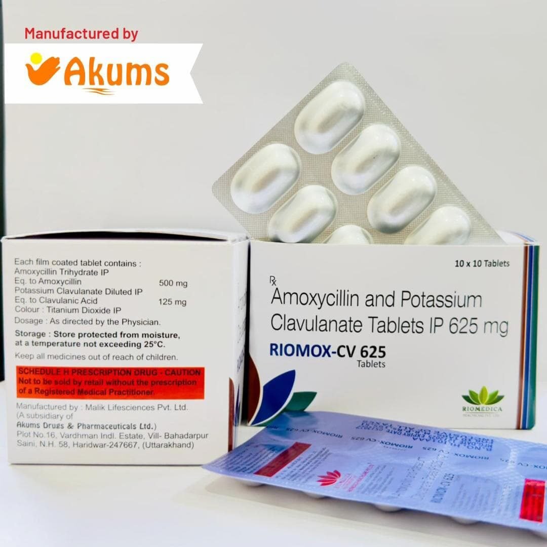 WhatsApp Image 2026-02-02 at 13.04.24